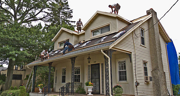 Best Storm Damage Roof Repair  in Portland, IN